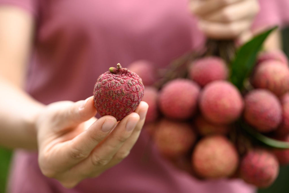 Family enjoying lychees