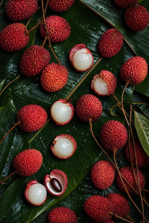 Fresh lychees flat lay on tropical leaves