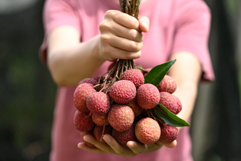 Lock In Your Place on Our Harvest List