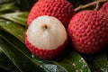 Hak Ip lychees